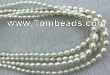 FWP212 15 inches 4mm - 9mm rice white freshwater pearl strands