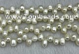 FWP340 Top-drilled 7mm - 8mm potato white freshwater pearl strands