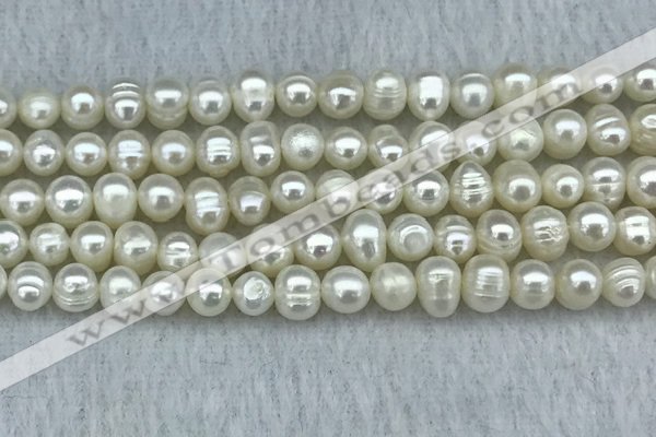 FWP35 14.5 inches 5mm - 6mm potato white freshwater pearl strands