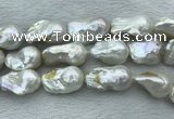 FWP368 15 inches 18mm - 22mm baroque freshwater nucleated pearl beads