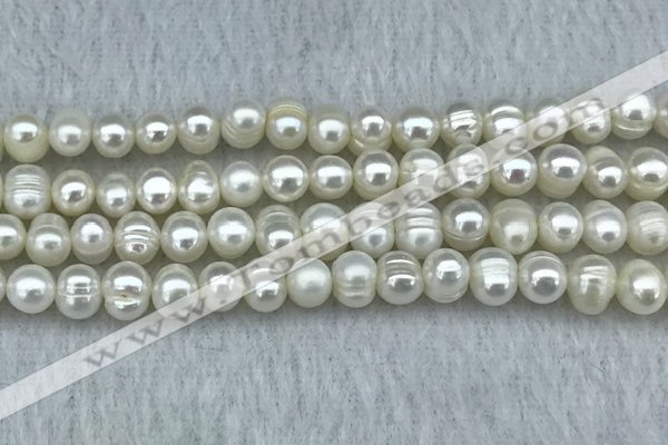 FWP37 14.5 inches 5mm - 6mm potato white freshwater pearl strands