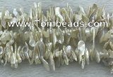 FWP420 15 inches 5*15mm - 8*24mm biwa freshwater pearl beads