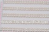FWP451 half-drilled 3.5-4mm bread freshwater pearl beads
