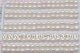 FWP454 half-drilled 5-5.5mm bread freshwater pearl beads