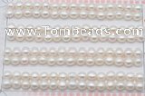 FWP455 half-drilled 5.5-6mm bread freshwater pearl beads