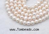 FWP482 14 inches 7mm - 8mm potato white freshwater pearl strands