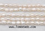 FWP496 14 inches 8mm - 9mm baroque white freshwater pearl strands