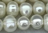 FWP55 15 inches 6mm - 7mm potato white freshwater pearl strands