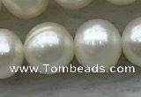 FWP80 15 inches 7mm - 8mm potato white freshwater pearl strands