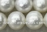 FWP89 15 inches 8mm - 9mm potato white freshwater pearl strands