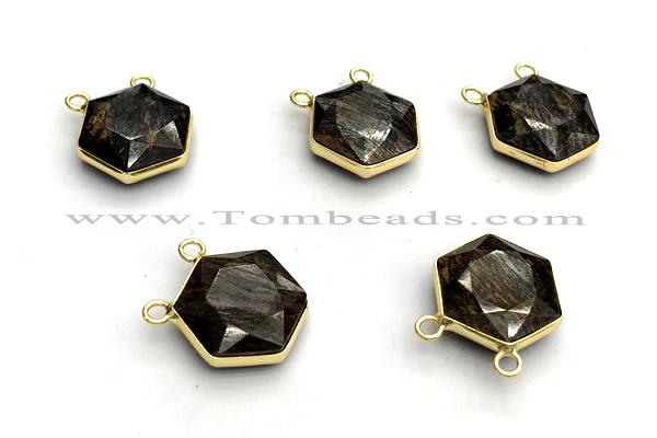 NGC7068 16mm faceted hexagon bronzite connectors