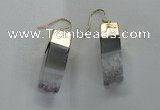 NGE20 10*25mm - 10*30mm freeform druzy amethyst earrings wholesale