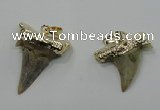 NGP1457 15*20mm - 20*30mm shark teeth pendants wholesale