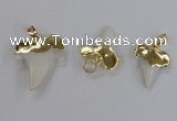 NGP2320 18*25mm - 25*30mm teeth-shaped shell pendants