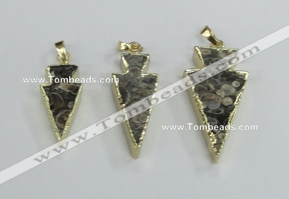 NGP2484 15*30mm - 22*40mm arrowhead ammonite gemstone pendants