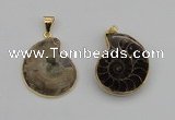 NGP4069 25*30mm – 30*35mm carved ammonite pendants wholesale