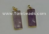 NGP6200 14*30mm - 15*38mm faceted rectangle amethyst pendants