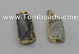 NGP6683 16*28mm - 18*35mm freeform druzy agate pendants