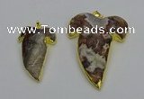 NGP6691 25*30mm - 30*40mm tooth agate gemstone pendants wholesale