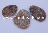 NGP955 5PCS 35-55mm*50-65mm freeform jasper gemstone pendants